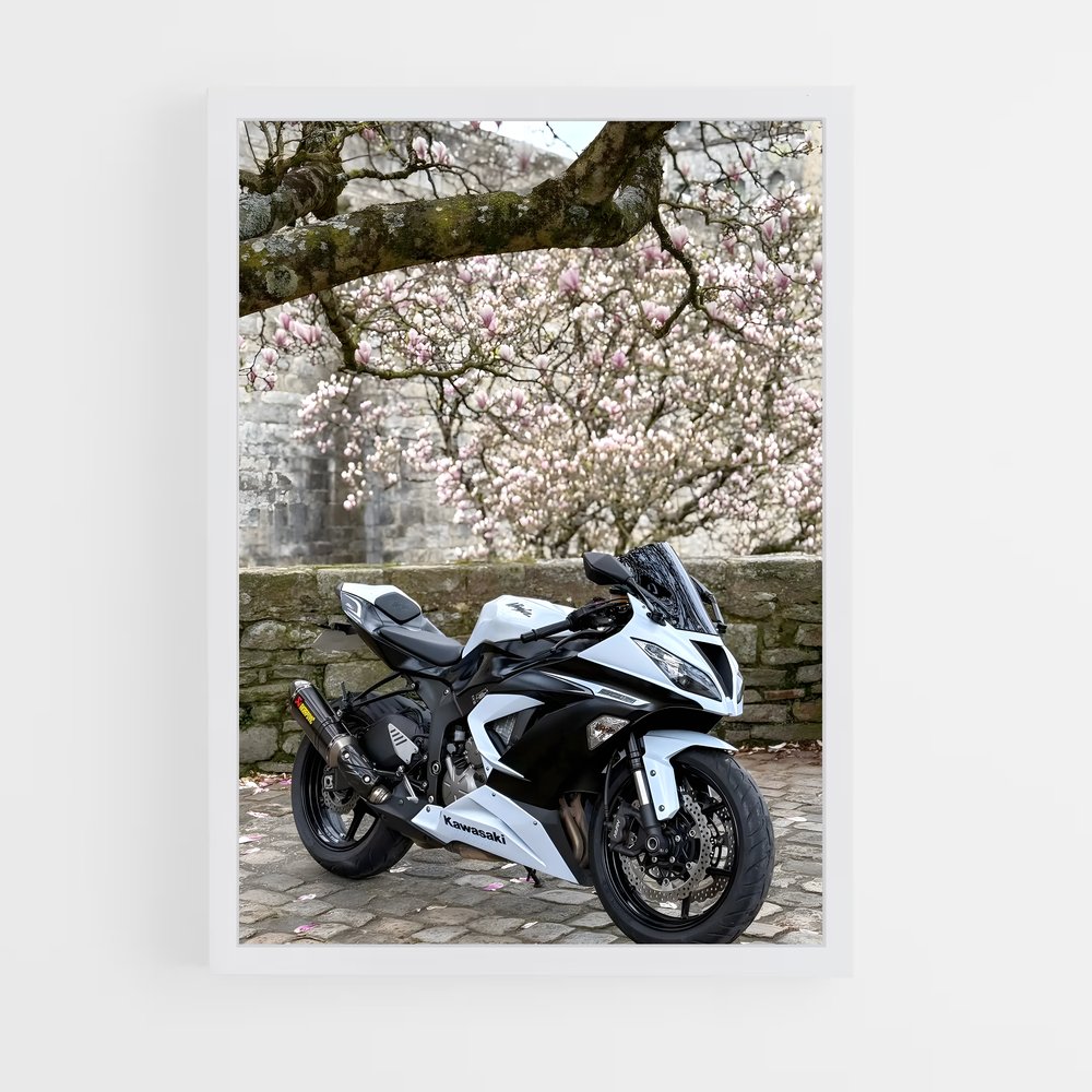 Poster Ninja en Liberté (vue 3)